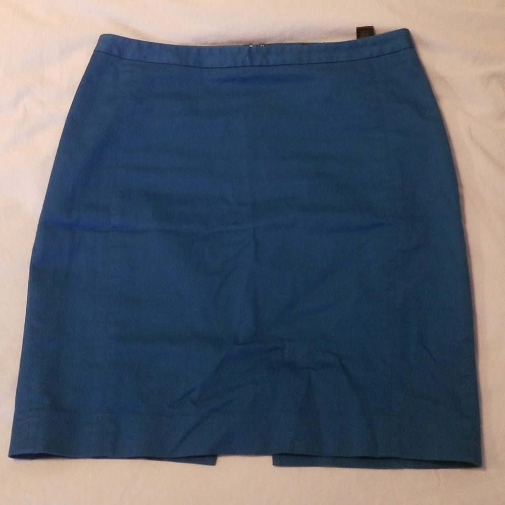 Express Pencil Skirt